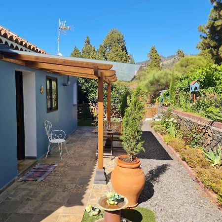 Casa Rosales With Pool & Wifi Villa ปุนตากอร์ดา ภายนอก รูปภาพ