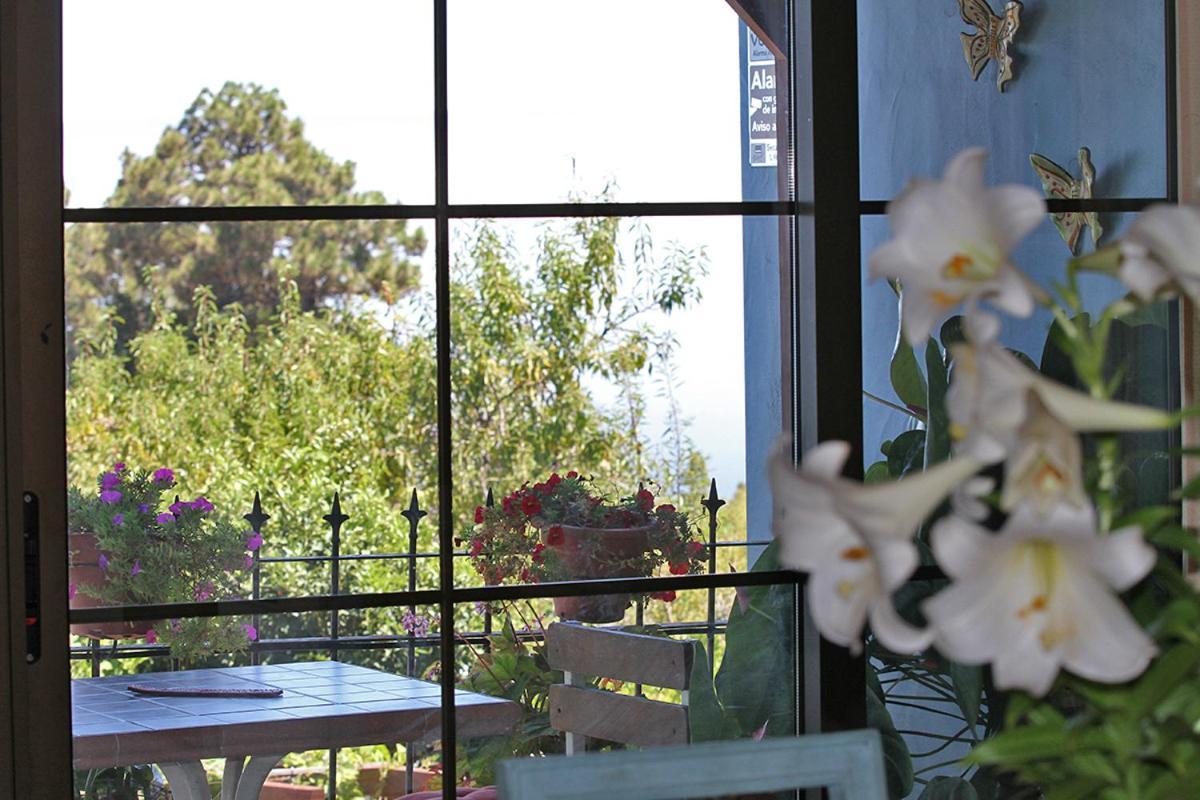 Casa Rosales With Pool & Wifi Villa ปุนตากอร์ดา ภายนอก รูปภาพ