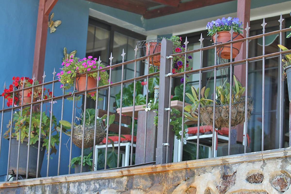 Casa Rosales With Pool & Wifi Villa ปุนตากอร์ดา ภายนอก รูปภาพ