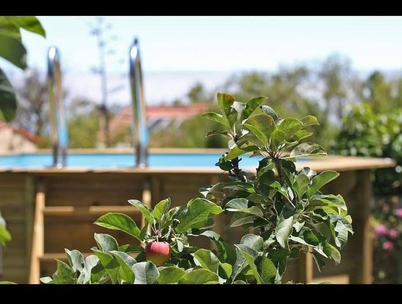 Casa Rosales With Pool & Wifi Villa ปุนตากอร์ดา ภายนอก รูปภาพ